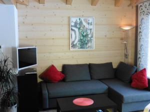 salon z niebieską kanapą i czerwonymi poduszkami w obiekcie Laubrinus w mieście Adelboden