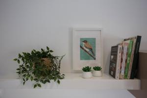 un estante con libros y una foto y una planta en Raval de Ripoll, en Ripoll