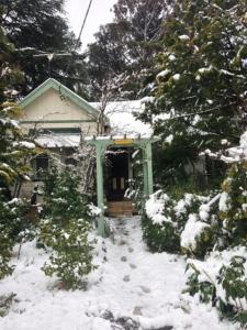 a house with a gate in the snow at Lemon Tree Cottage in Leura