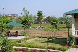 Ảnh trong thư viện ảnh của Tharu Mahal ở Sauraha