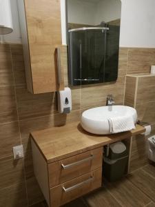 a bathroom with a sink and a mirror at Life Hostel Slovenia in Radovljica