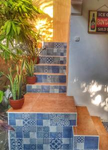 Fotografie z fotogalerie ubytování Havana Hideaway v destinaci Gili Trawangan