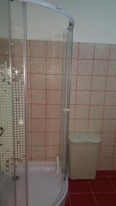 een badkamer met een douche en een toilet bij Apartament Maria in Floreşti