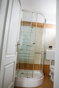 a shower with a glass door in a bathroom at Erzsébet Pince in Tokaj