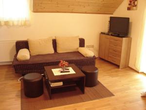 TV a/nebo společenská místnost v ubytování Apartments Pavlić