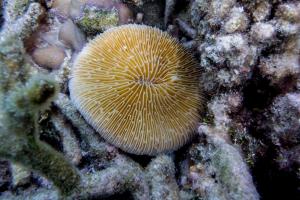 Fotografie z fotogalerie ubytování Detour Beach View v destinaci Hangnaameedhoo