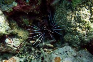 Fotografie z fotogalerie ubytování Detour Beach View v destinaci Hangnaameedhoo