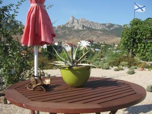 a table with a potted plant and an umbrella at Dom Pod Zvezdopadom Guest House in Koktebel