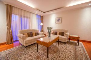 Posezení v ubytování Alba Hotel Meru
