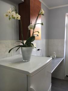 Fotografia z galérie ubytovania Apartment Kumicic - 3 Bedrooms v destinácii Ičići + 35 fotografií