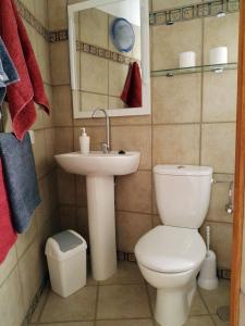 ein Bad mit einem WC und einem Waschbecken in der Unterkunft Casa Elvira in Santa Cruz de la Palma