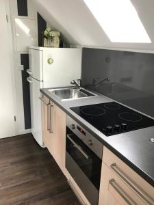 une cuisine avec une cuisinière et un évier dans l'établissement Ferienwohnung Landart, à Hilter