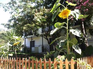 a sunflower in front of a house behind a fence at Dardanos Hotel in Patara