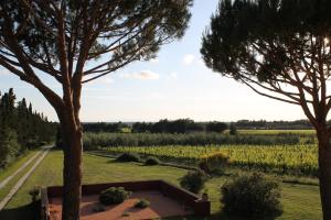 Galería fotográfica de Le Grascete en Bolgheri 40 fotos más