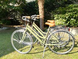 リーヴァ・デル・ガルダにあるTerrazza sugli Uliviの木の横の芝生に黄色い自転車