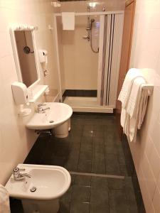uma casa de banho com um lavatório, um WC e um chuveiro em Hotel del Lago Ampollino em Torre Caprara