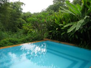 The swimming pool at or close to Teakwood villa