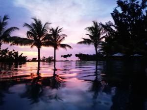 a pool with palm trees in front of a sunset at Latitude - with private plunge pool in Rivière Noire