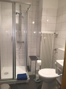 a bathroom with a shower and a toilet and a sink at Germania Beck in Hülben +24 photos