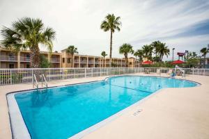オーモンド・ビーチにあるDays Inn by Wyndham Ormond Beachのヤシの木が茂るリゾートのスイミングプール