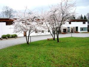 Zahrada ubytování Jugendherberge Possenhofen