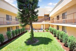 a courtyard with a tree in front of a building at Days Inn & Suites by Wyndham Artesia in Artesia