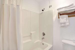 Days Inn by Wyndham Seattle North of Downtown, Seattle – Updated 2024 ...