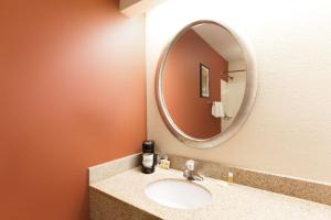 a bathroom with a sink and a mirror at Days Inn by Wyndham Monmouth Junction-S Brunswick-Princeton in Monmouth Junction