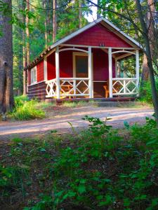 a red cabin in the middle of a forest at Johnston Canyon Lodge & Bungalows in Castle Junction