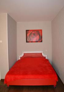 ザポリージャにあるApartment Universitetskaya 54の赤いベッド1台(赤い毛布付)が備わるベッドルーム1室が備わります。