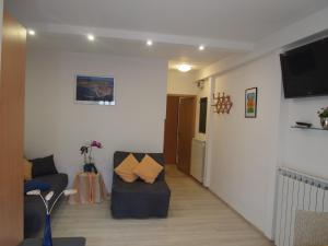 Televízia a/alebo spoločenská miestnosť v ubytovaní Apartments Marko Novigrad