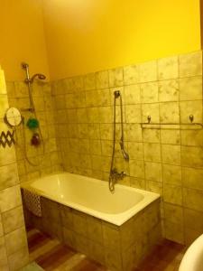 a bathroom with a bath tub with a shower at Appartamento verde in Marina di Gioiosa Ionica