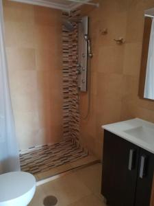 a bathroom with a shower and a toilet and a sink at Calle Santomera 17 in Torrevieja