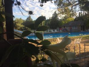 Imagen de la galería de Complejo de Cabañas Pach - Flo, en San Marcos Sierras 88 fotos más