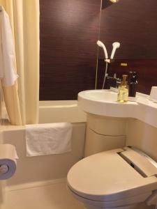 a bathroom with a toilet and a sink at Hotel Matsumoto Yorozuya in Matsumoto