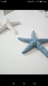 due stelle marine bianche e blu sedute su un tavolo di Casa Vacanza La Conchiglia a Monopoli