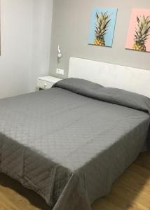 Ein Bett oder Betten in einem Zimmer der Unterkunft Apartamentos Maladeta