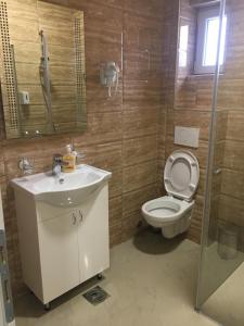 uma casa de banho com um WC, um lavatório e um chuveiro em B&B Hisar International em Prijepolje