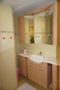 a bathroom with a sink and a mirror at Ferienwohnung Albrecht Sonnendeck in Bad Schandau
