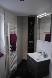 uma casa de banho com um lavatório e um chuveiro com um espelho. em Ferienhaus Johanna em Schmalkalden