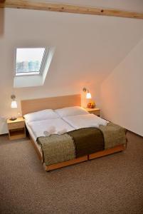 Gallery image of Wellness Vila Bohemia in Prague