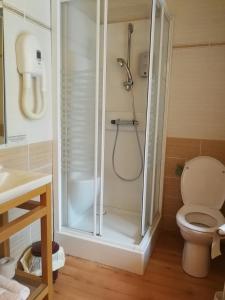 a bathroom with a shower and a toilet at Le relais de l'Argoat in Belle-Isle-en-Terre