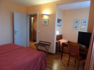TV a/nebo společenská místnost v ubytování Hôtel Restaurant Erckmann Chatrian