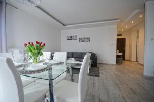 Χώρος καθιστικού στο Apartament nad Drwęcą I
