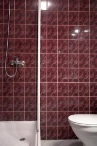 a bathroom with a toilet and a shower with red tiles at Abracadabra in Warsaw