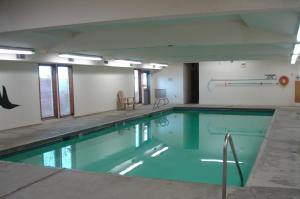 Πισίνα στο ή κοντά στο The Dublin House Motel