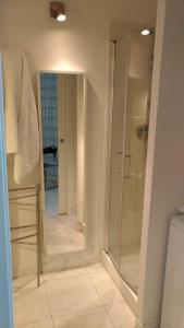 ベルガモにあるTerrazze Fioriteのバスルーム(シャワー、ガラス張りのシャワー付)が備わります。