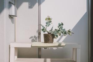 roślina doniczkowa siedząca na zlewie w łazience w obiekcie Crystal Exe Nipponbashi w Osace