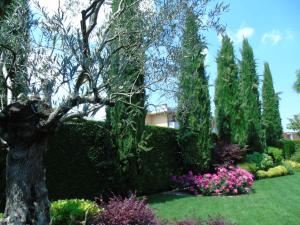 A garden outside B&B Ai Cipressi