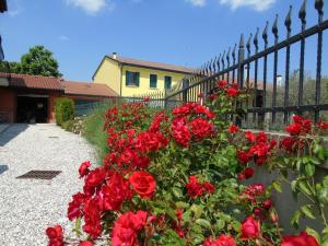 A garden outside B&B Ai Cipressi